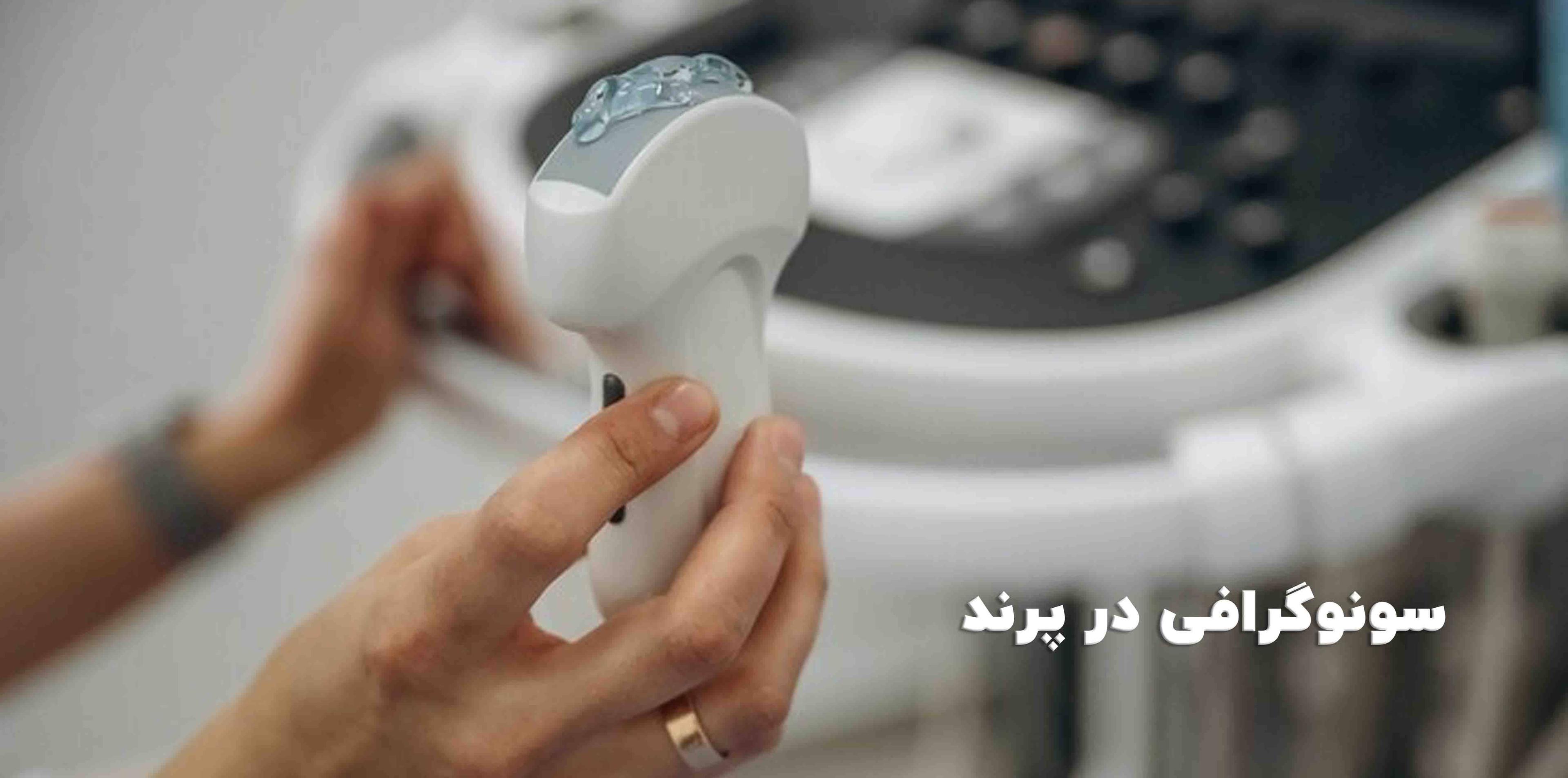 سونوگرافی در پرند
